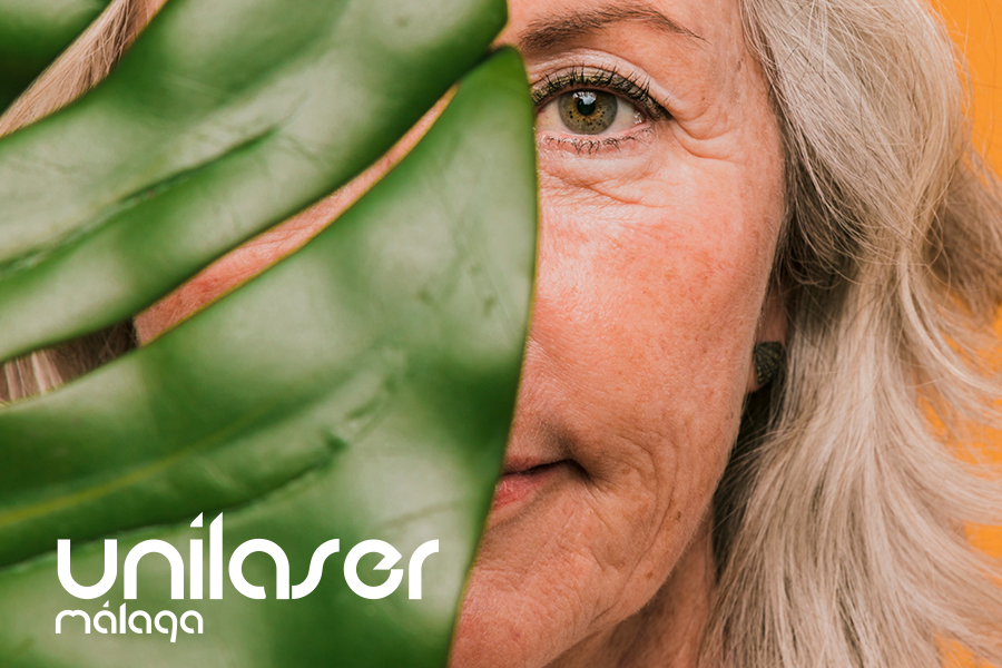 envejecimiento de la piel